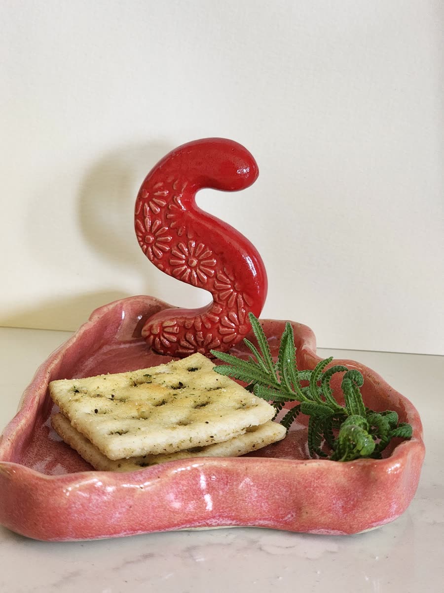Coral initial dish with crackers